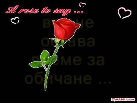 Вечната песен – Deep Purple – Войник на Съдбата