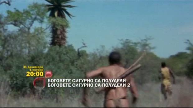 Боговете сигурно са полудели 1 и 2 – 31 декември и 1 януари