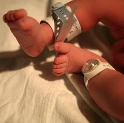 Всички бебета с чипове от 2014 г.