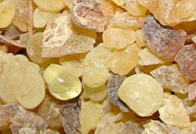 Сензация! Тамянът убива раковите клетки