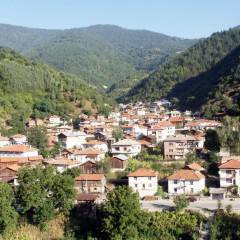 Разпръснати по света родопчани с онлайн родословно дърво