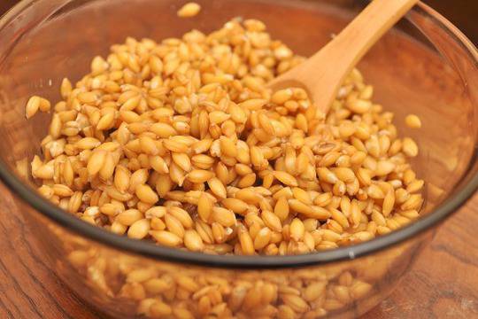 Покълване на лимец