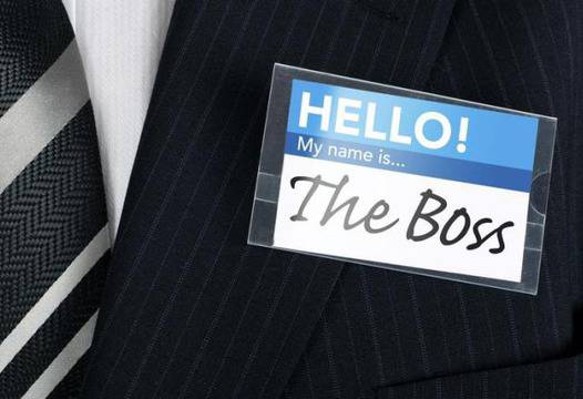 Видовете шефове