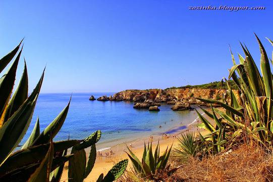 Моите пътувания в снимки