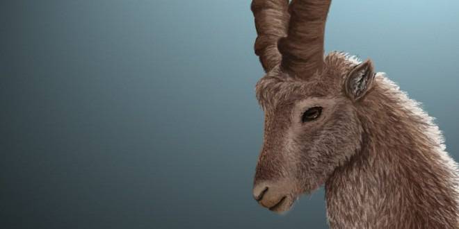 Линда Гудман за МЪЖЪТ КОЗИРОГ