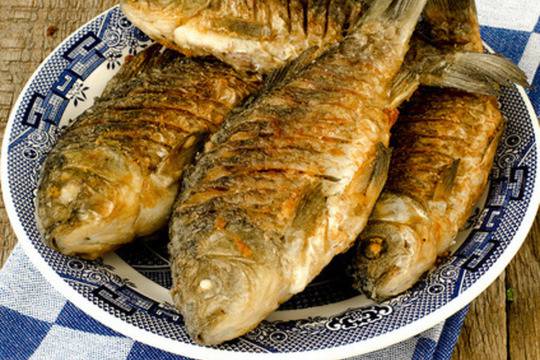 Пържена ципура