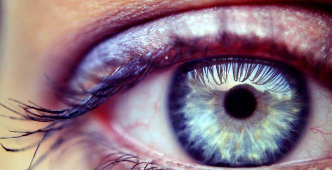 Учени са на път да открият метод за „проглеждане“ на слепите