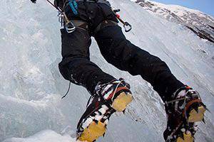 Основни видове алпийски котки