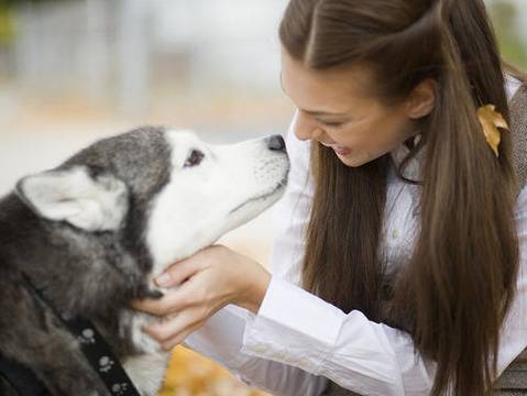 10-те най-известни имена на кучета за 2013 година