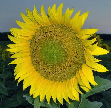 Харесва ми да пътувам