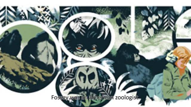 Даян Фоси (Dian Fossey) Google Doodle 2014 и Горили в Мъглата