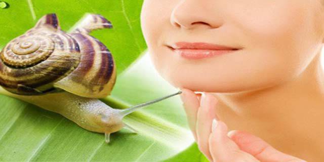 Подмладяваща терапия за лице с екстракт от охлюви на ТОП цена от Био консулт!