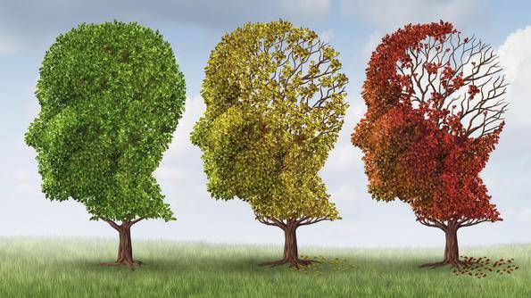 Каква е разликата между алцхаймер и деменция?