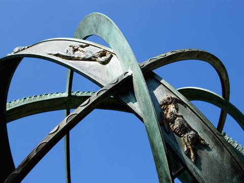 Раци, обърнете внимание на здравето