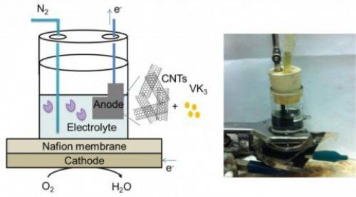 Акумулатори, работещи със захар могат да се окажат по-ефективни от литий-йонните