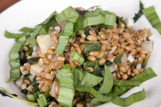 Лечебните свойства на лимеца