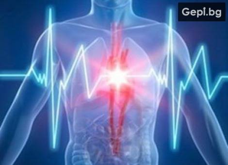 НОВО! 3D Здравна диагностика с Биорезонанс на всички органи!