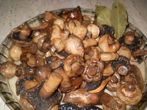 Домашно мариновани гъби