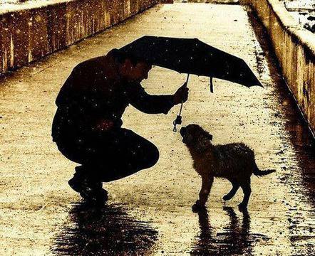 Добрите новини: В човека все пак побеждава доброто