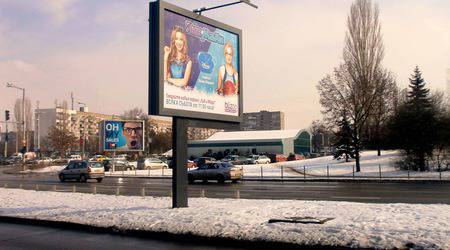 Фотогалерия: В забързаното ежедневие на топлата зима