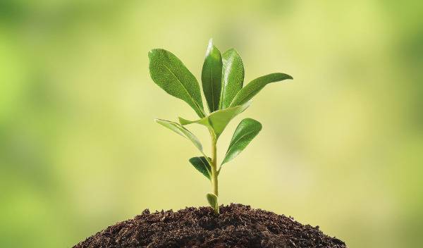 Заводът за био-отпадъци край София ще генерира 13 000 т. компост и 600 MWh годишно