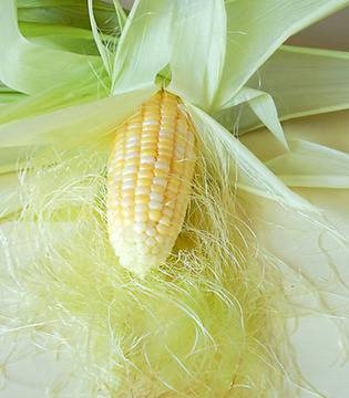 Царевични коси при проблеми с бъбреците