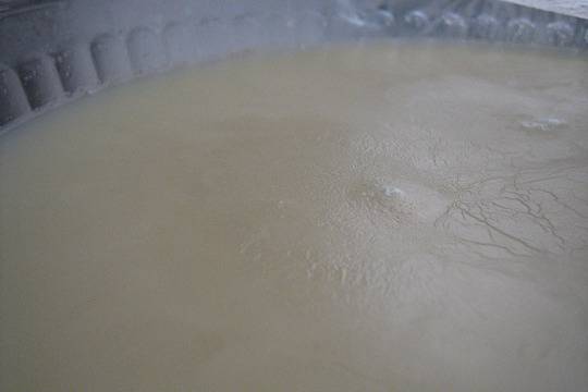 свинска мас