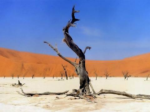 Чудеса на природата, за които не сте чували видяна 2384 коментари 0