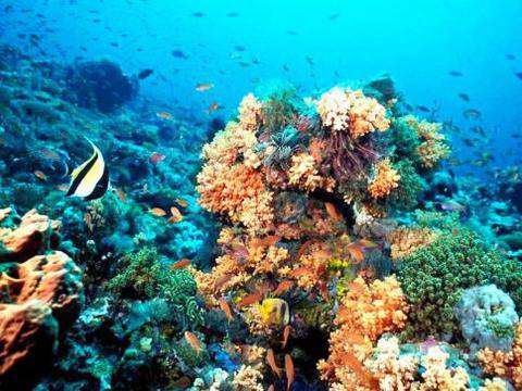 Най-удивителните места по света – II част