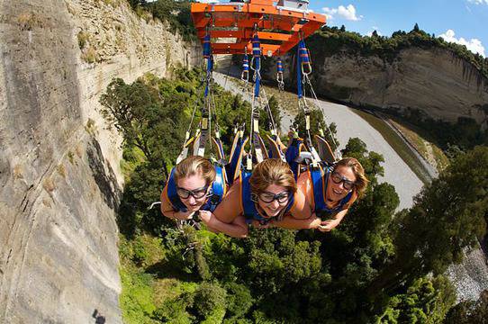 Стани Летяща лисица в Нова Зеландия (ВИДЕО)