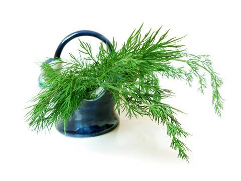 Билки, които помагат при диария