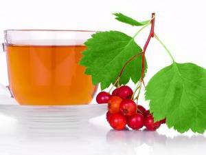 Билки от природата: Глог – успокоява нервите, чисти кръвоносните съдове