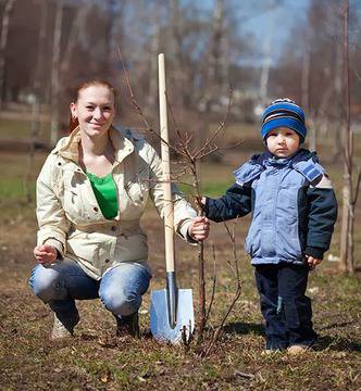 Овощен Разсадник „Иван Димов“ град Варна
