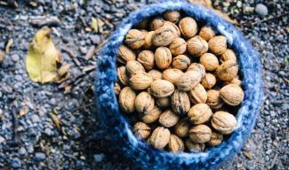 Орехите – печеливш бизнес и за внуците