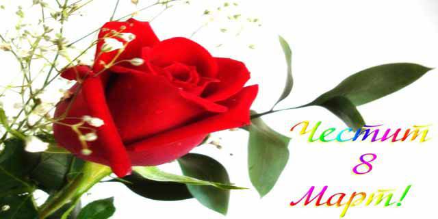 8-ми март в Габровския балкан в