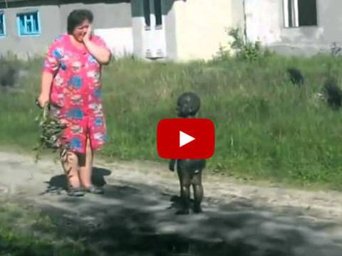 Извънземното дете, което ще ви задуши от смях (ВИДЕО)