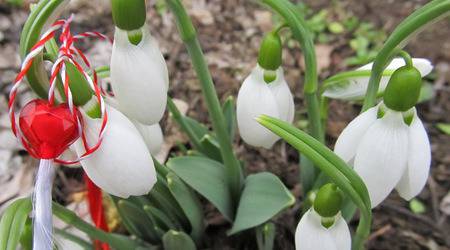 Честита Баба Марта!