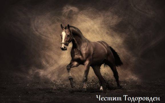 Честит Тодоровден