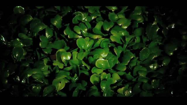 Международен ден на жената !Честит 8-ми Март 2014