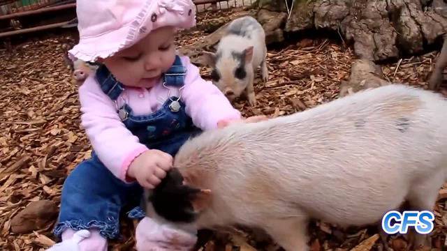 Смях! Малки Прасета – Забавна Компилация