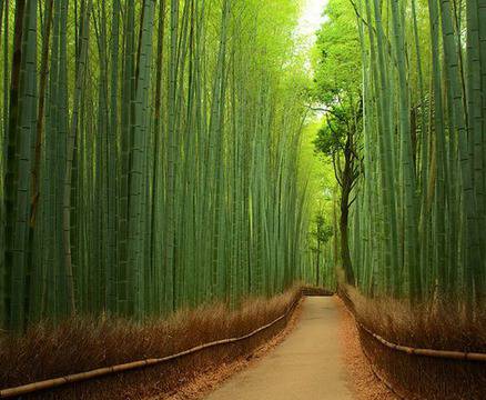 Вижте ТОП 15 кътчета, за които няма да повярвате, че са реалност! (СНИМКИ)