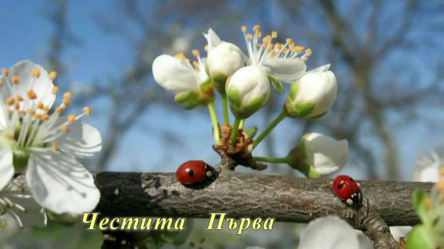 Честита Пролет! Happy Spring!