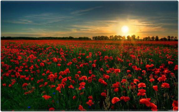 Анастасия Христова говори за любов и как с амулети и талисмани да я открием?