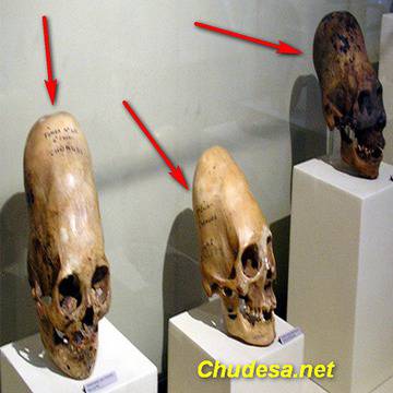 Хуманоиди в човешки тела обитават Земята