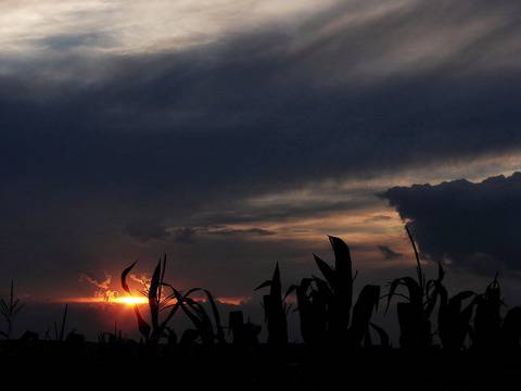 Фотогалерия: Красиви изгреви и залези