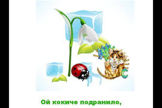 Калина Малина – Първо цвете