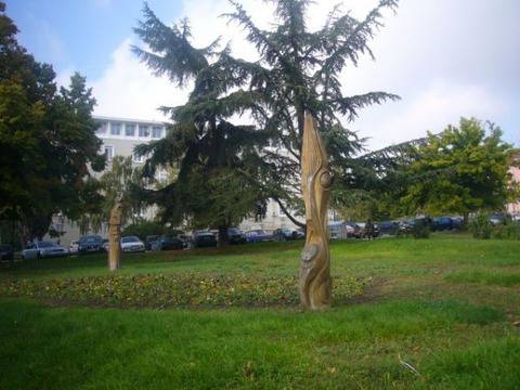 Стара Загора посрещна астрономическата пролет с нови цветя и озеленяване