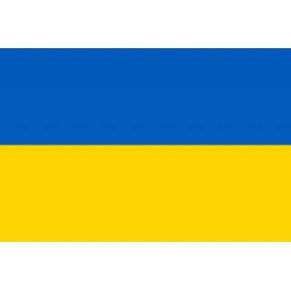 Знаме на Украйна, 50 x 80 см