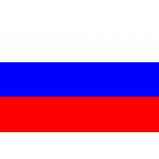 Знаме на Русия, 50 x 80 см