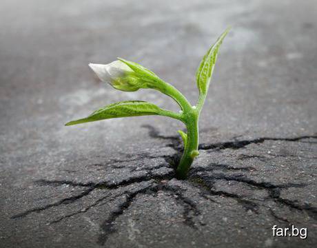 В живота трябват две неща: ТЪРПЕНИЕ за да …